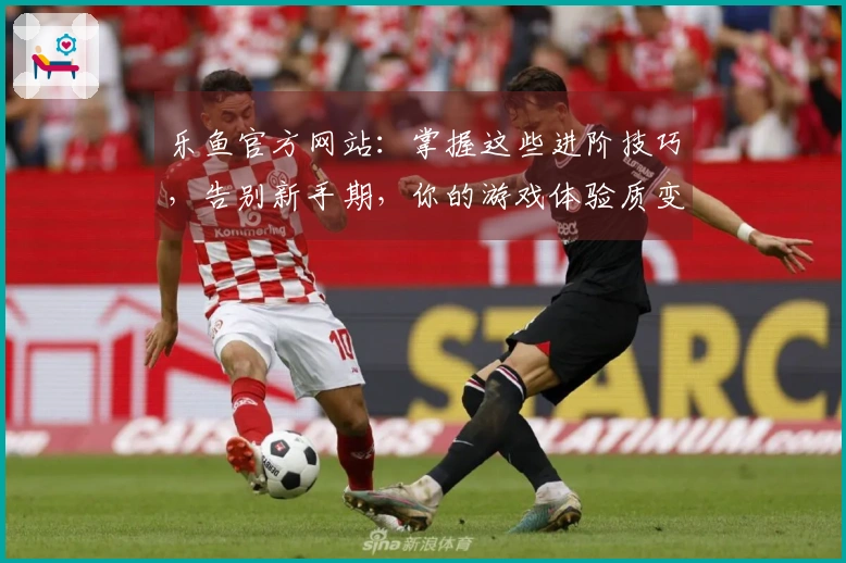 乐鱼官方网站：掌握这些进阶技巧，告别新手期，你的游戏体验质变就在眼前