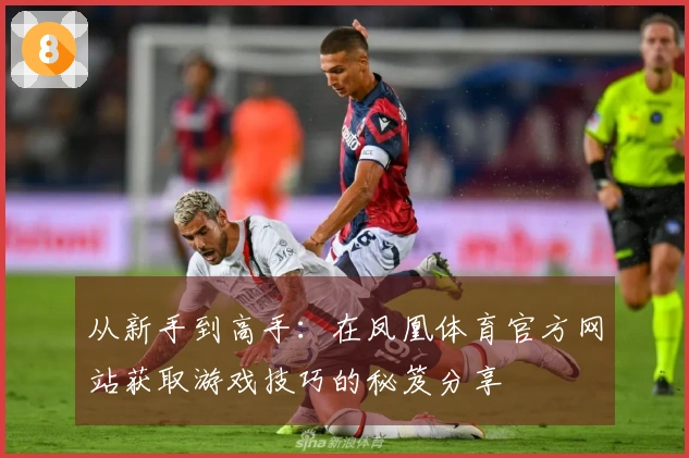 从新手到高手：在凤凰体育官方网站获取游戏技巧的秘笈分享